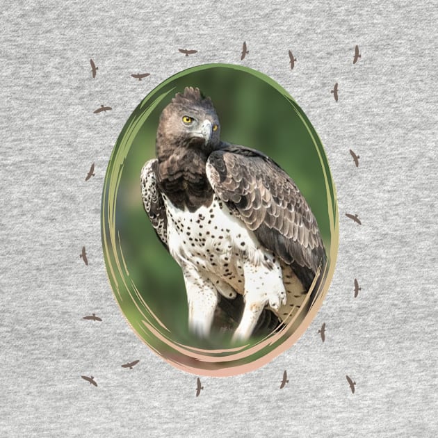 Martial Eagle - Eagle - Bird of prey - Africa by T-SHIRTS UND MEHR